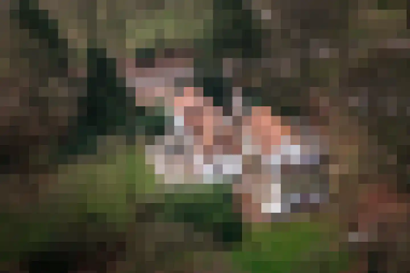 Koerbergseweg 6 Heerde thumbnail 54