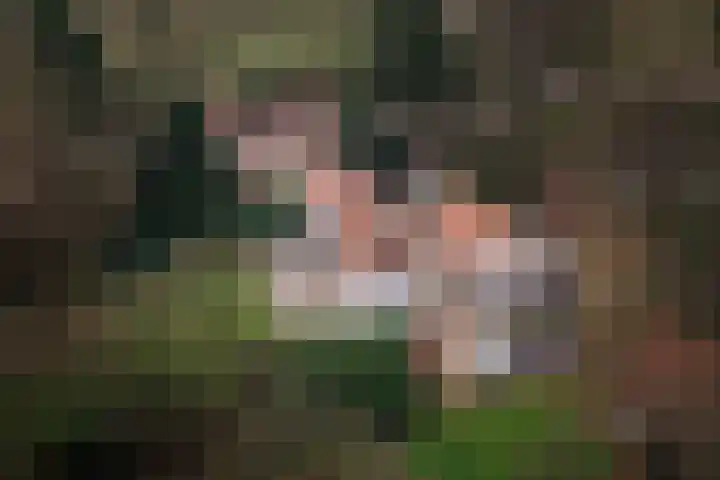 Koerbergseweg 6 Heerde thumbnail 54
