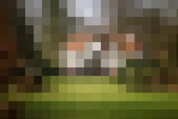 Koerbergseweg 6 Heerde thumbnail 55