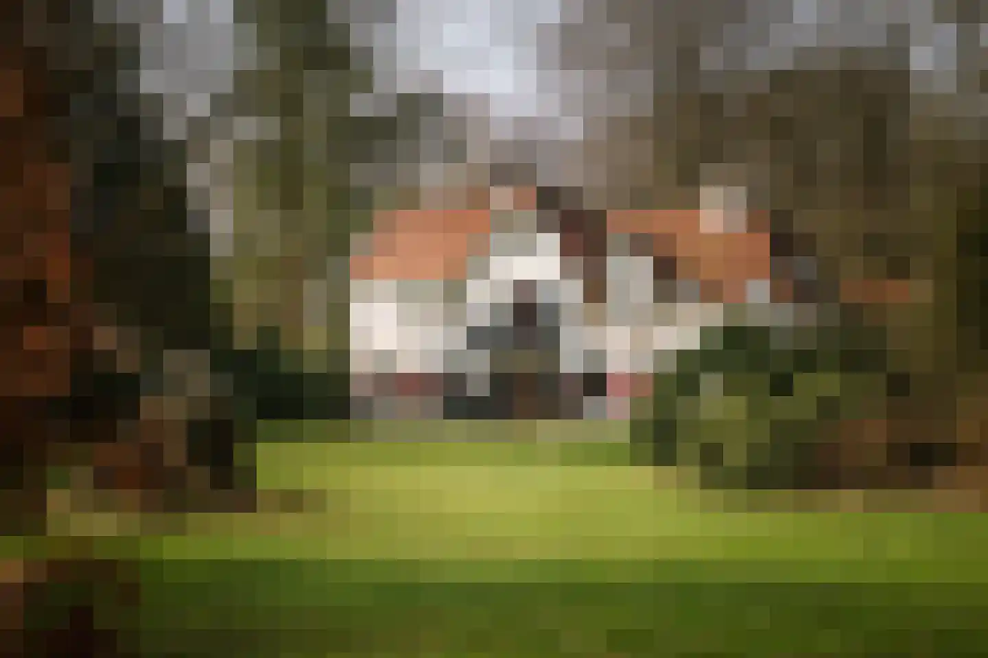 Koerbergseweg 6 Heerde thumbnail 55