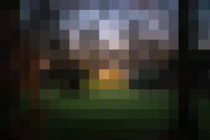 Koerbergseweg 6 Heerde thumbnail 56