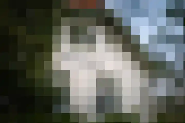 Koerbergseweg 6 Heerde thumbnail 6