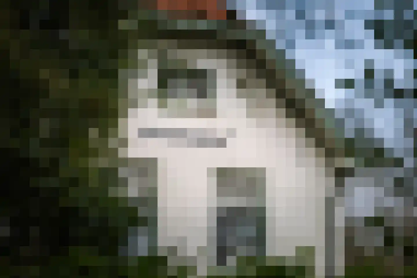 Koerbergseweg 6 Heerde thumbnail 6