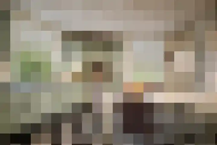 Koerbergseweg 6 Heerde thumbnail 7
