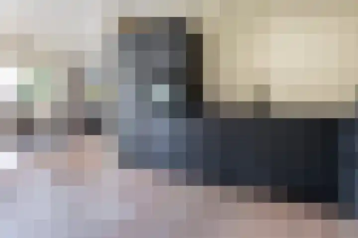 Koereiger 10 Emmen thumbnail 11