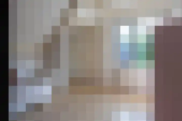 Koereiger 10 Emmen thumbnail 20