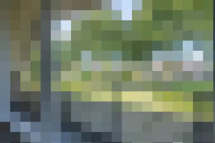 Koereiger 10 Emmen thumbnail 27