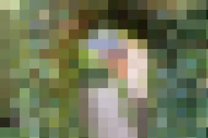 Koereiger 10 Emmen thumbnail 35