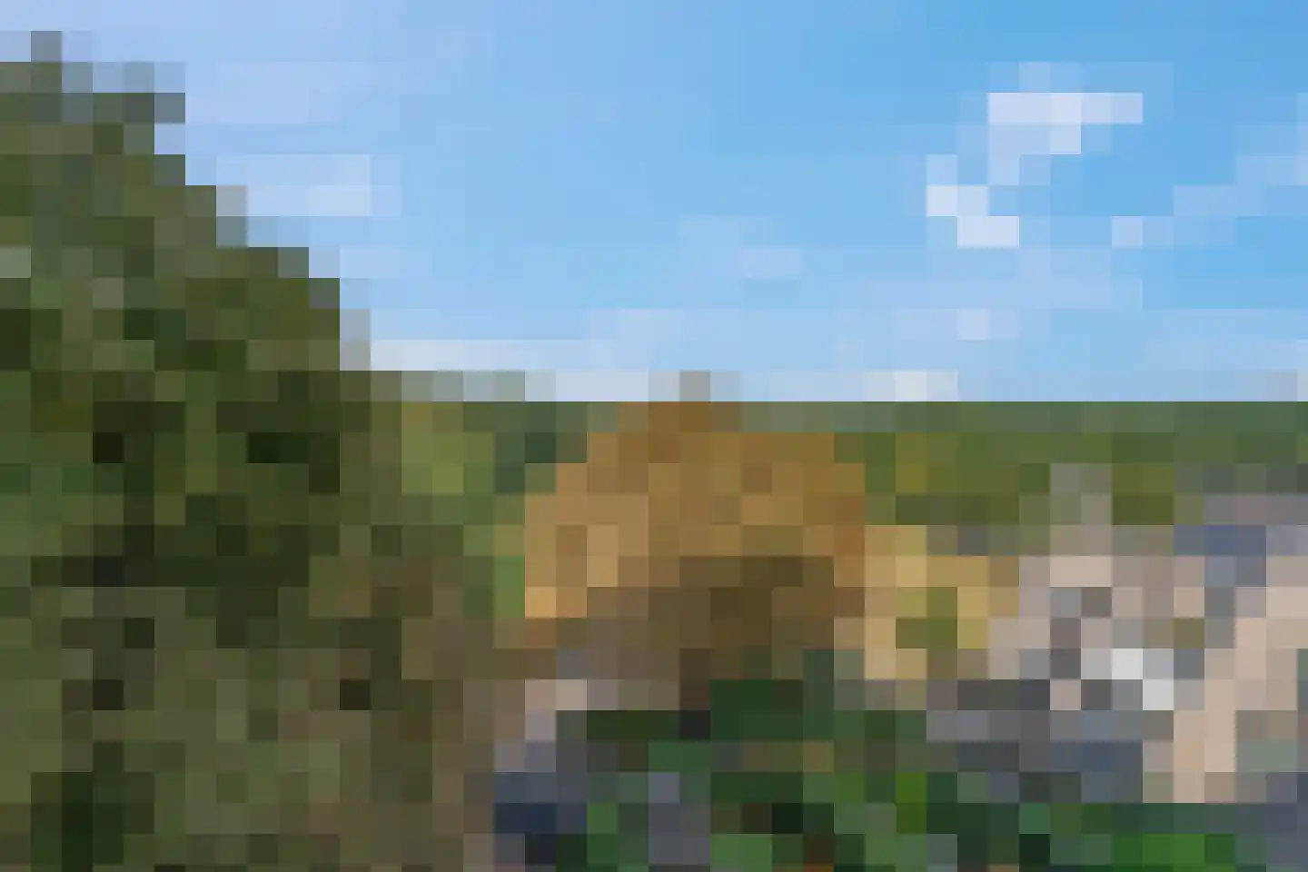 Koerheuvelweg 3 C Rhenen thumbnail 34