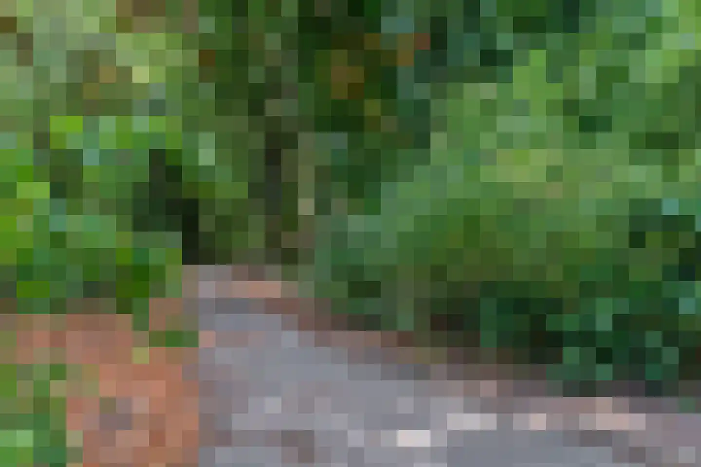 Koerheuvelweg 3 C Rhenen thumbnail 36