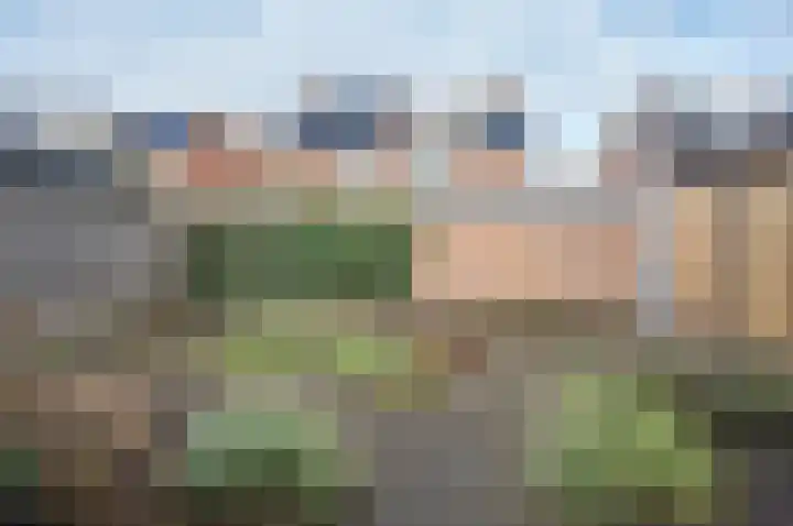 Koeriershoek 10 Zelhem thumbnail 33