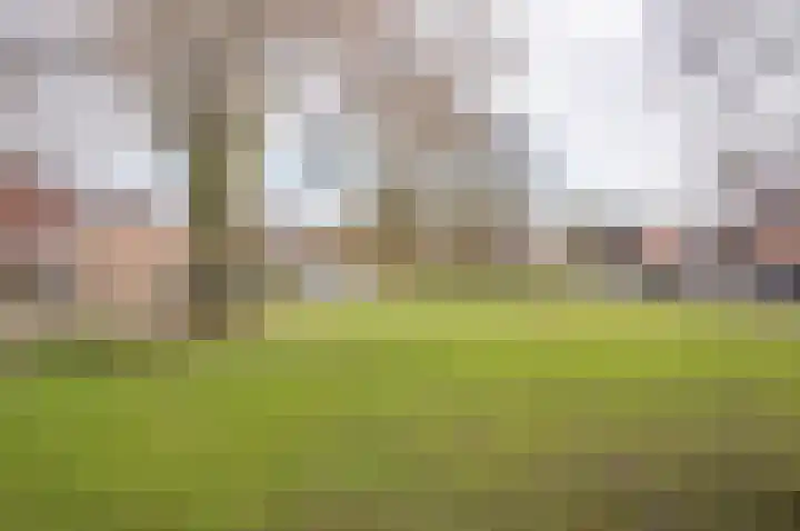 Koeriershoek 10 Zelhem thumbnail 41