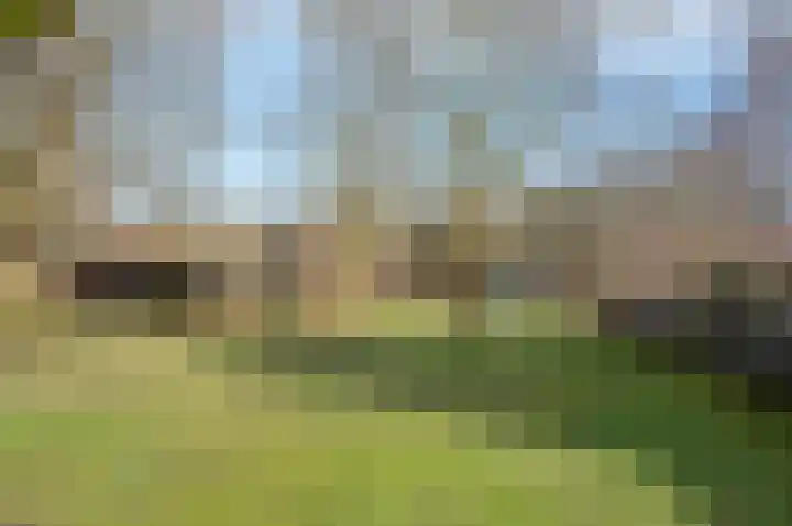 Koeriershoek 10 Zelhem thumbnail 42