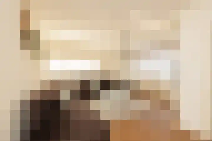 Koerierspad 1 Gouda thumbnail 10