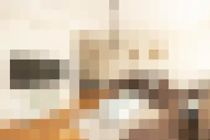 Koerierspad 1 Gouda thumbnail 12