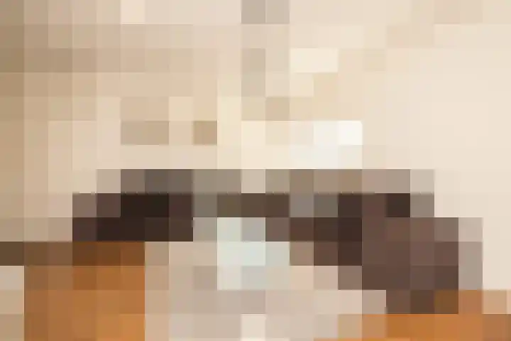 Koerierspad 1 Gouda thumbnail 13