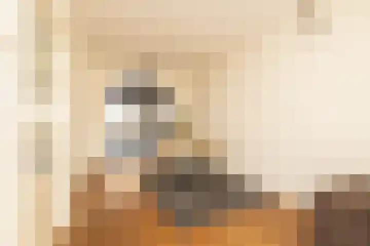 Koerierspad 1 Gouda thumbnail 14