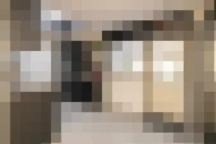 Koerierspad 1 Gouda thumbnail 16