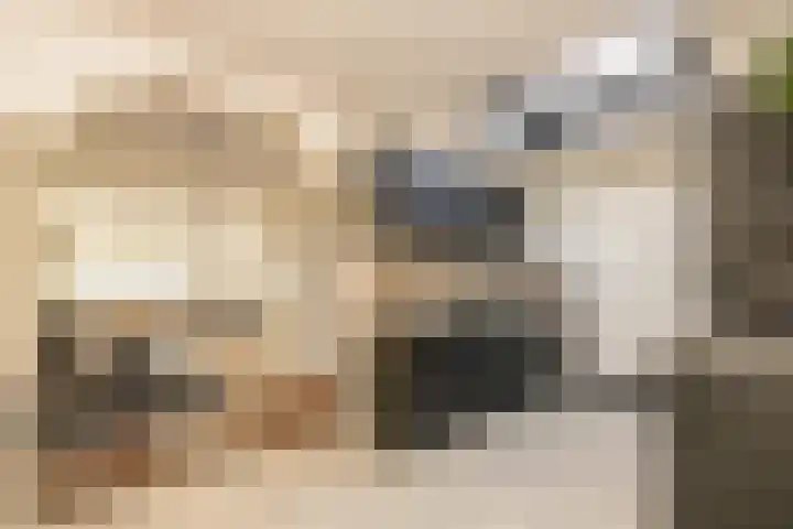 Koerierspad 1 Gouda thumbnail 17