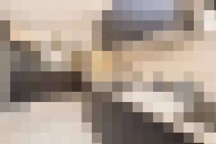Koerierspad 1 Gouda thumbnail 19