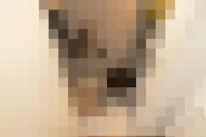 Koerierspad 1 Gouda thumbnail 20
