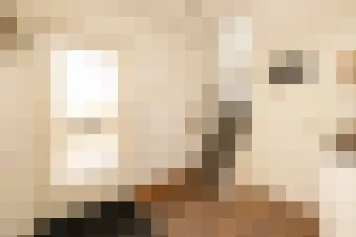 Koerierspad 1 Gouda thumbnail 21