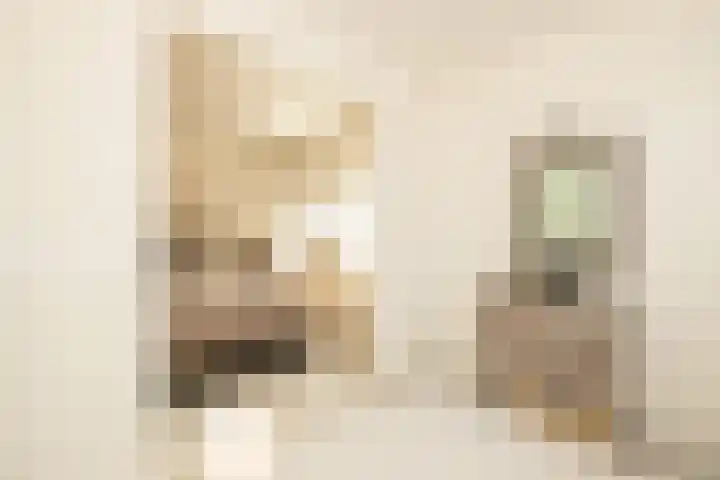 Koerierspad 1 Gouda thumbnail 24
