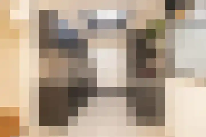 Koerierspad 1 Gouda foto 3