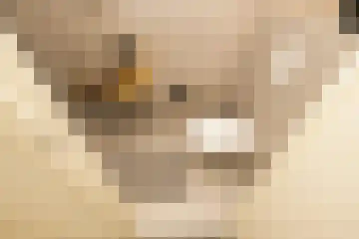 Koerierspad 1 Gouda thumbnail 31
