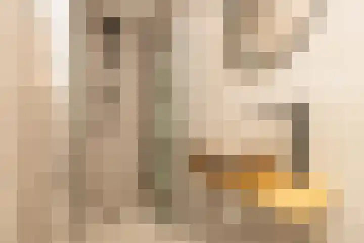 Koerierspad 1 Gouda thumbnail 32