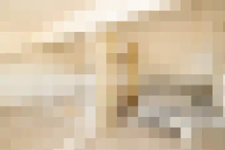 Koerierspad 1 Gouda thumbnail 35
