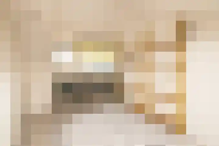Koerierspad 1 Gouda thumbnail 36