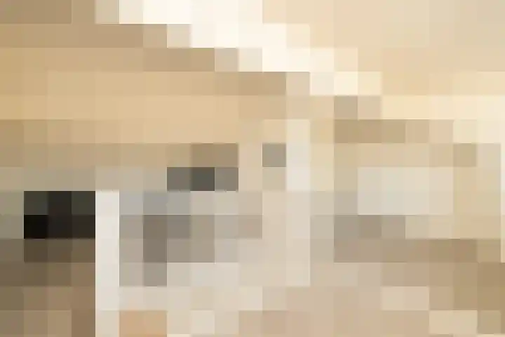 Koerierspad 1 Gouda thumbnail 37