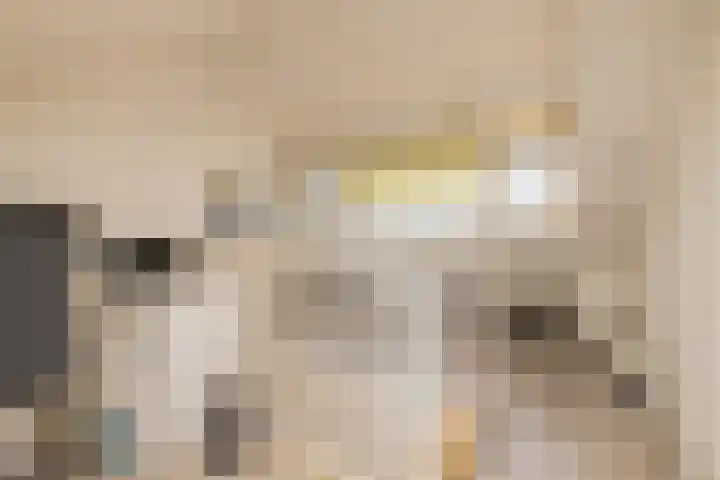 Koerierspad 1 Gouda thumbnail 38