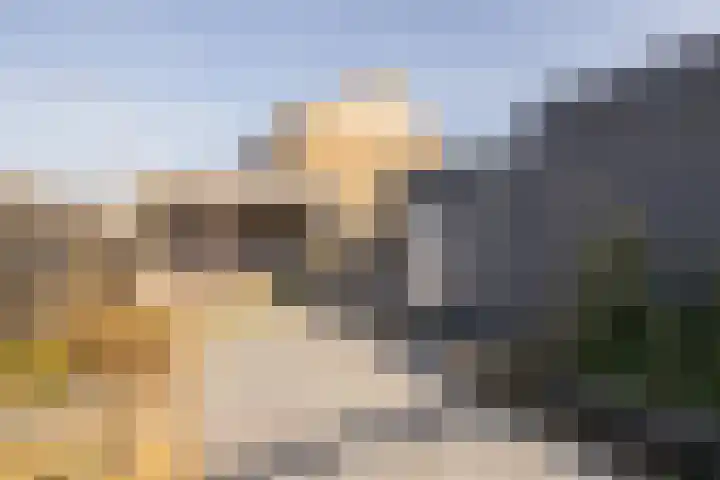 Koerierspad 1 Gouda thumbnail 4