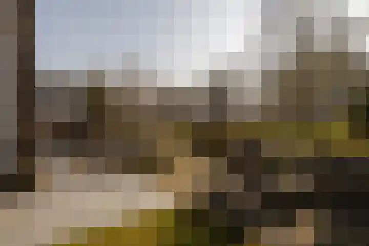 Koerierspad 1 Gouda thumbnail 44