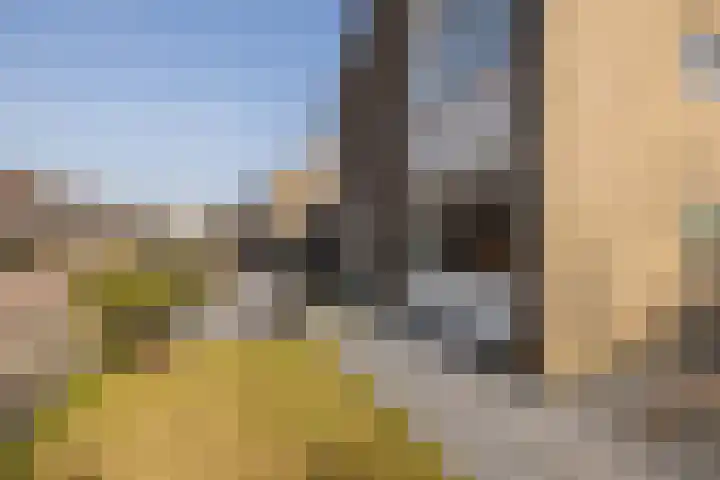 Koerierspad 1 Gouda thumbnail 46