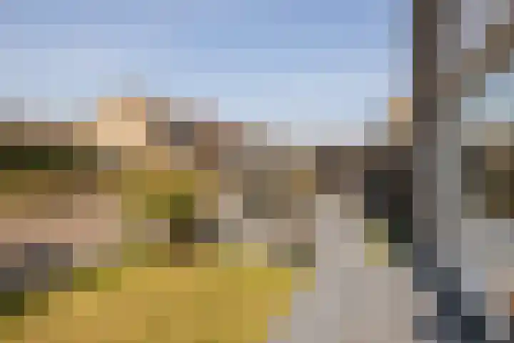Koerierspad 1 Gouda thumbnail 47