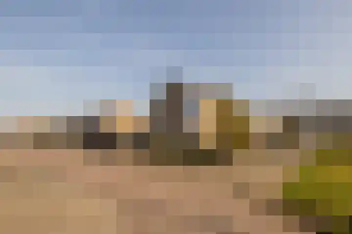 Koerierspad 1 Gouda thumbnail 6
