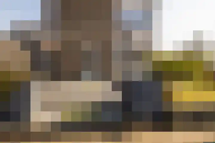 Koerierspad 1 Gouda thumbnail 8