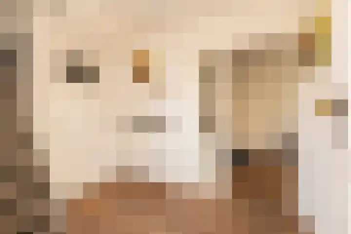 Koerierspad 1 Gouda thumbnail 9