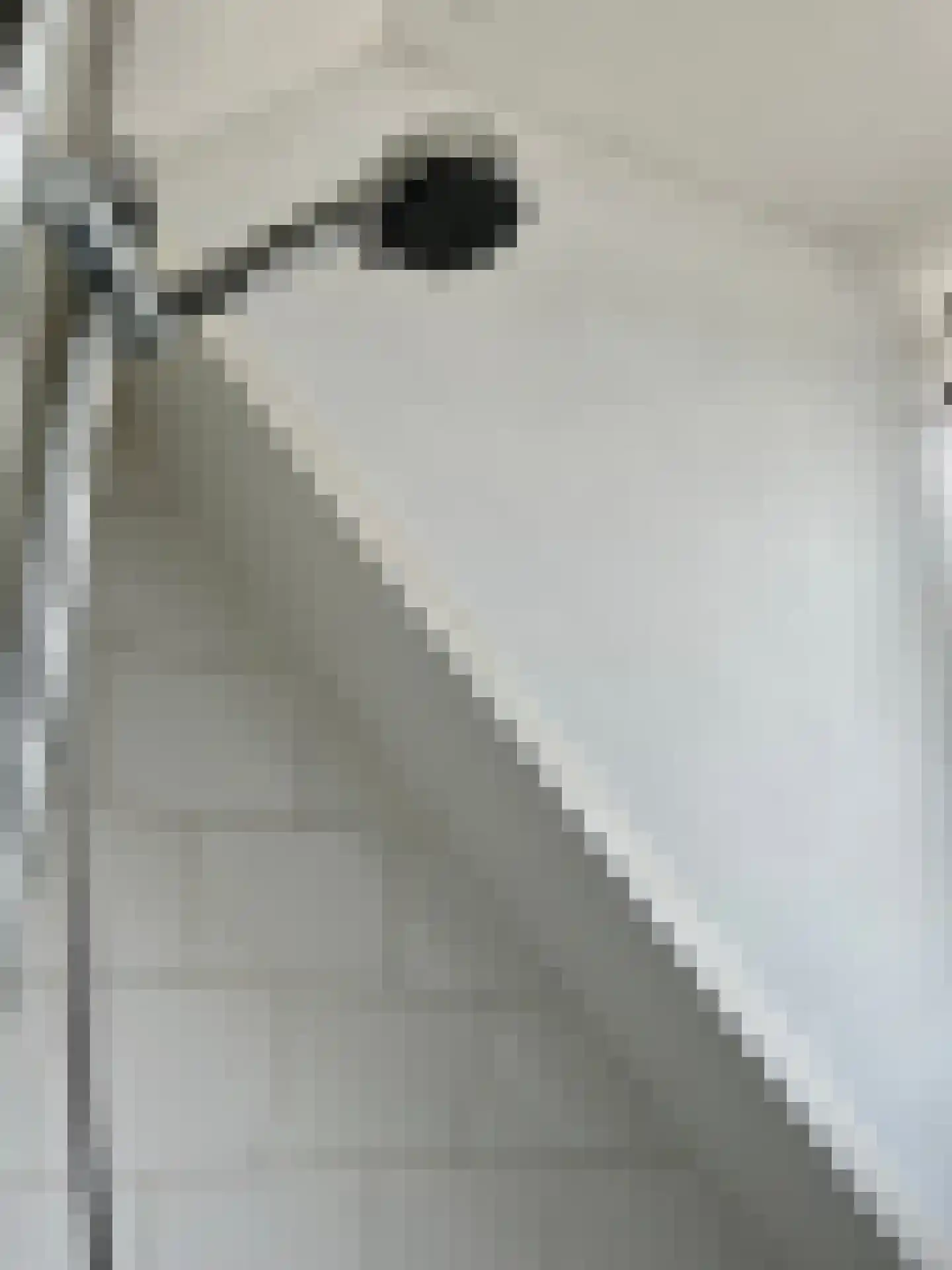 Koerierspad 2 Best thumbnail 20