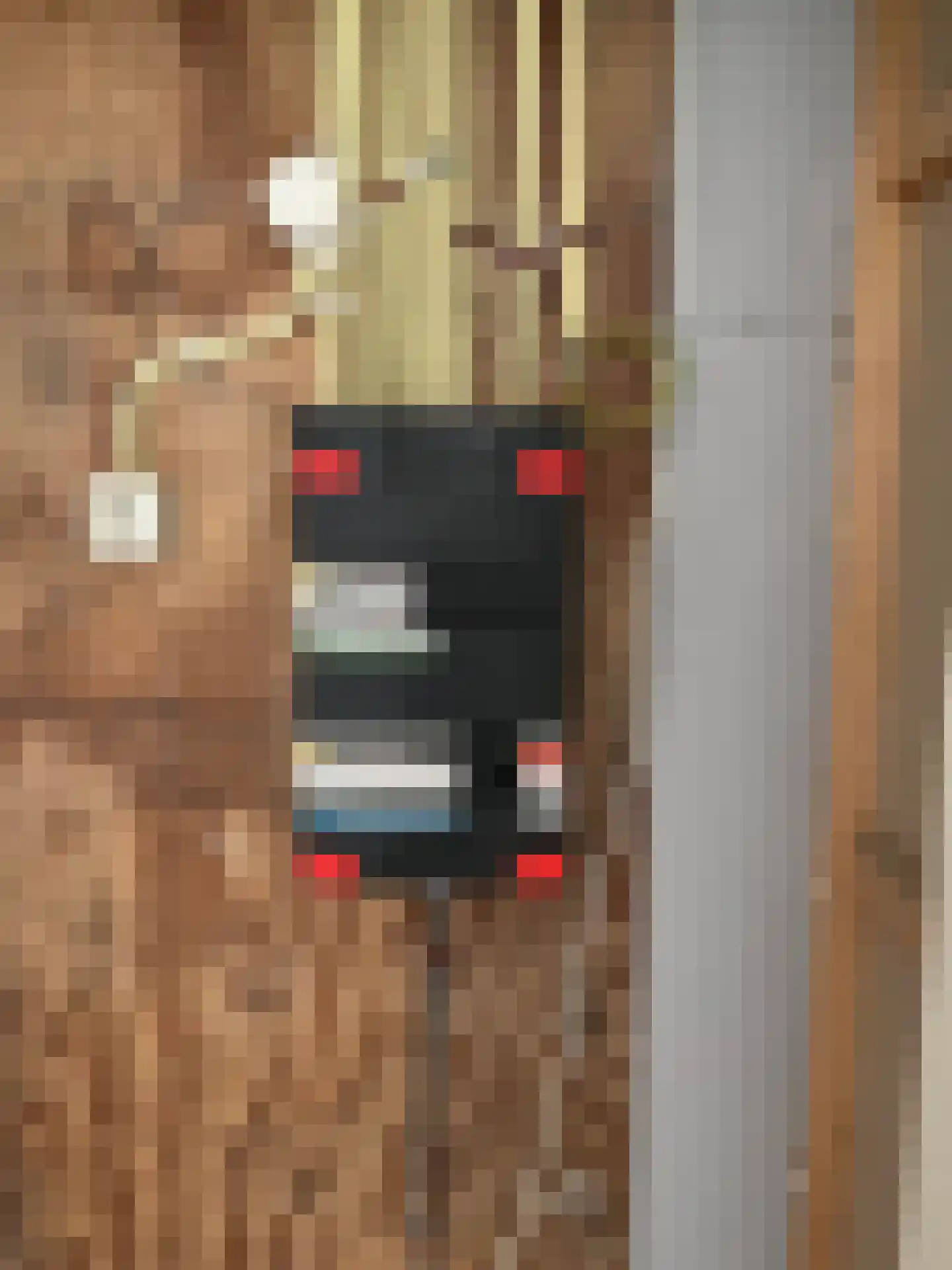 Koerierspad 2 Best thumbnail 33