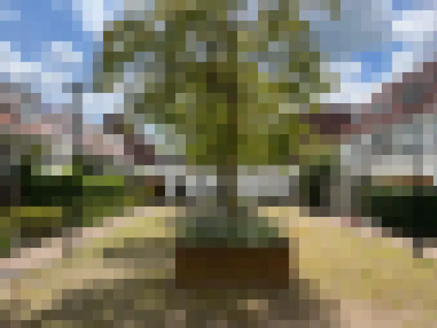 Koerierspad 2 Best thumbnail 7
