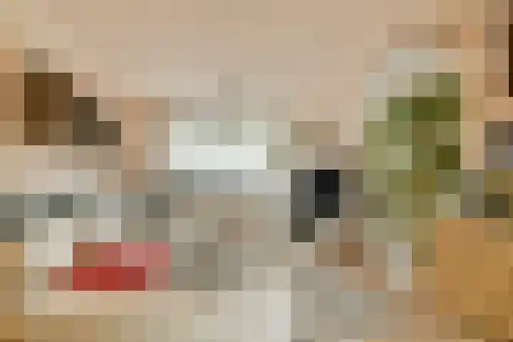 Koerierspad 3 Gouda thumbnail 10