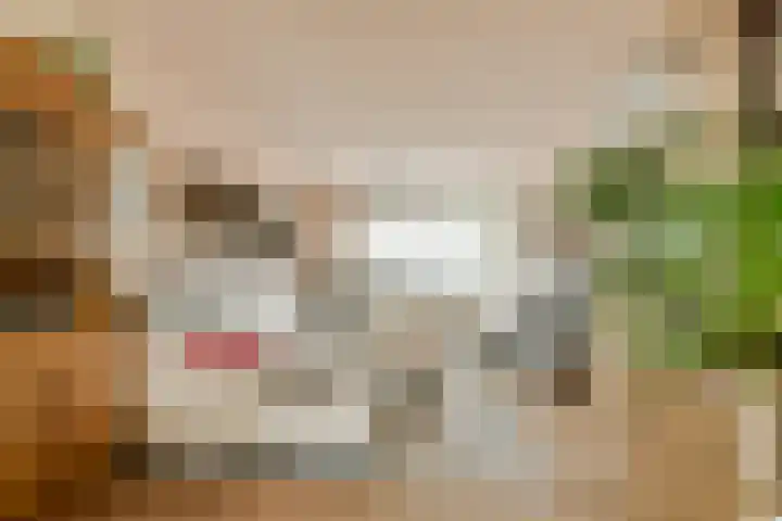 Koerierspad 3 Gouda thumbnail 11