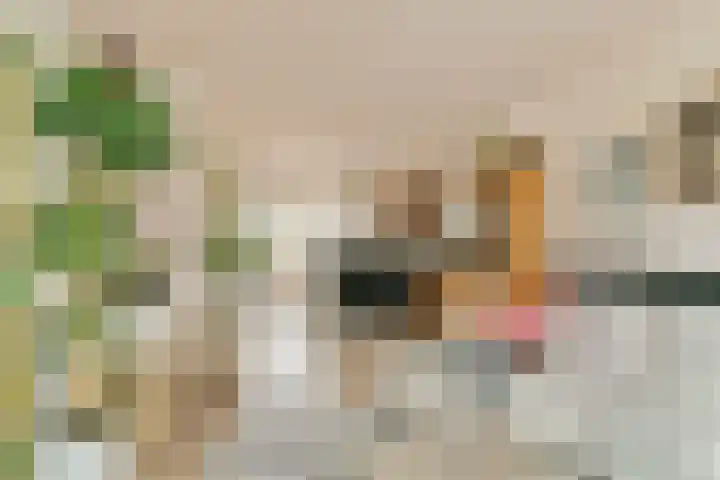 Koerierspad 3 Gouda thumbnail 12