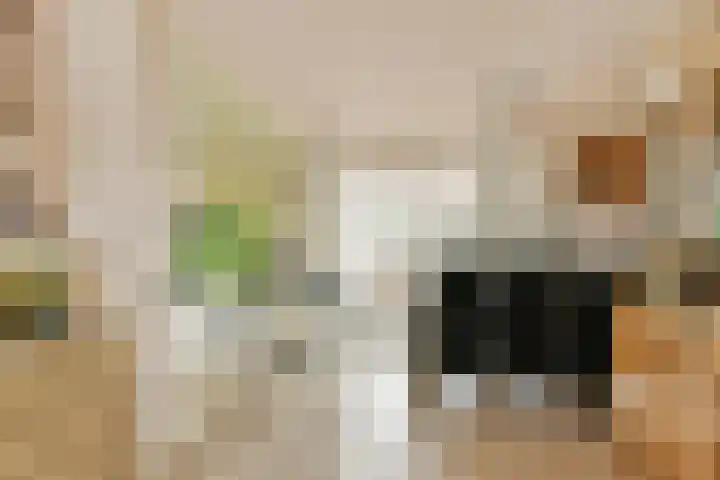 Koerierspad 3 Gouda thumbnail 13