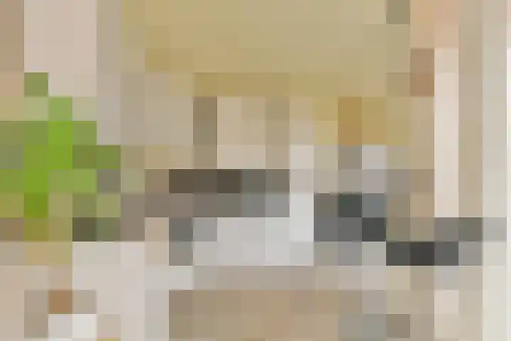 Koerierspad 3 Gouda thumbnail 14