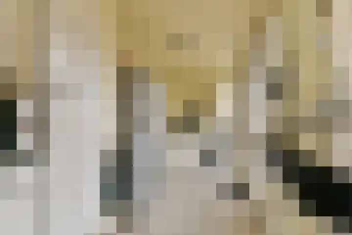 Koerierspad 3 Gouda thumbnail 15